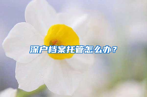 深户档案托管怎么办？