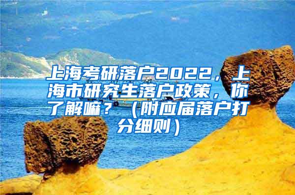 上海考研落户2022，上海市研究生落户政策，你了解嘛？（附应届落户打分细则）