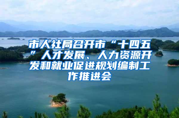 市人社局召开市“十四五”人才发展、人力资源开发和就业促进规划编制工作推进会