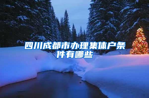 四川成都市办理集体户条件有哪些