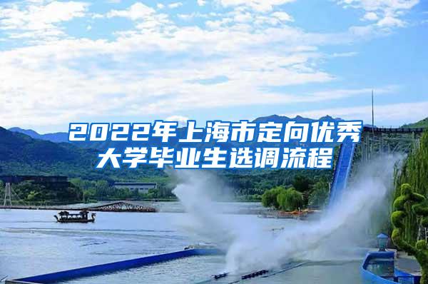 2022年上海市定向优秀大学毕业生选调流程