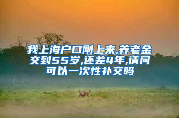 我上海户口刚上来,养老金交到55岁,还差4年,请问可以一次性补交吗