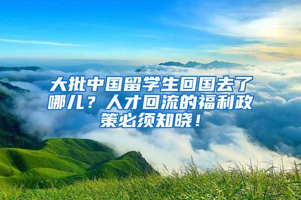 大批中国留学生回国去了哪儿？人才回流的福利政策必须知晓！