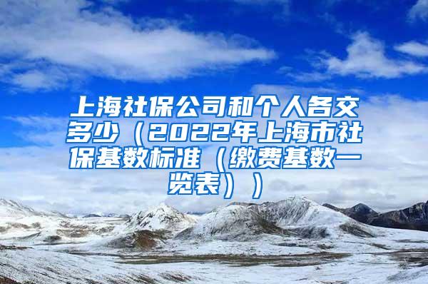 上海社保公司和个人各交多少（2022年上海市社保基数标准（缴费基数一览表））