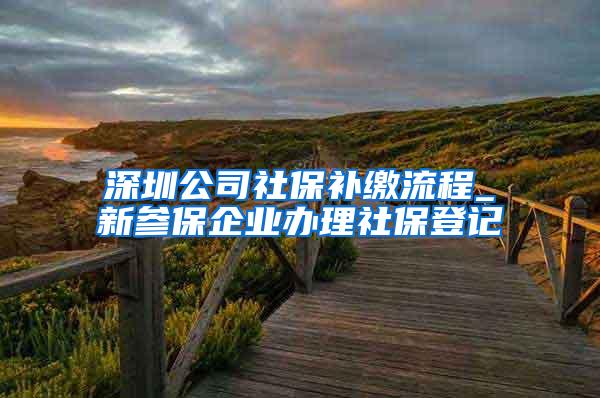 深圳公司社保补缴流程_新参保企业办理社保登记