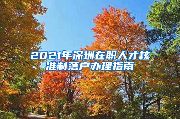 2021年深圳在职人才核准制落户办理指南