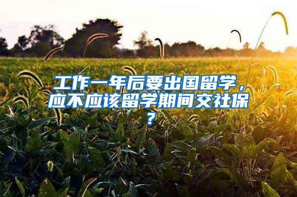 工作一年后要出国留学，应不应该留学期间交社保？