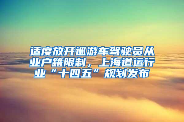 适度放开巡游车驾驶员从业户籍限制，上海道运行业“十四五”规划发布