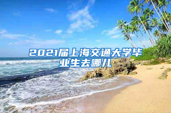 2021届上海交通大学毕业生去哪儿