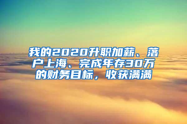 我的2020升职加薪、落户上海、完成年存30万的财务目标，收获满满