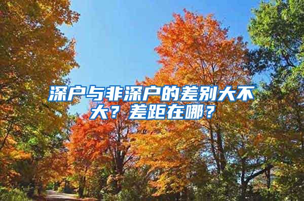 深户与非深户的差别大不大？差距在哪？