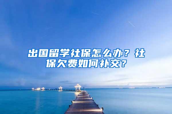 出国留学社保怎么办？社保欠费如何补交？