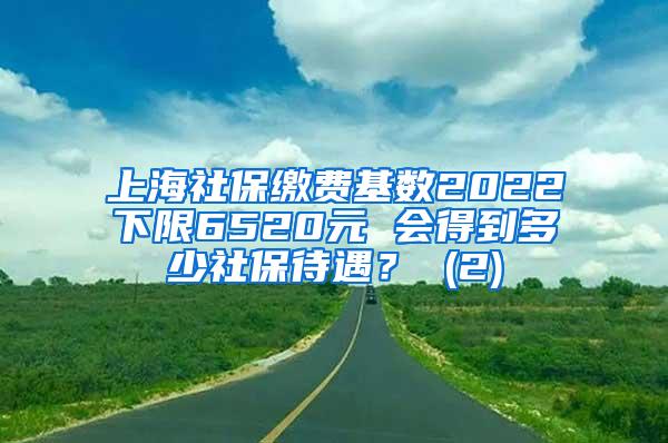 上海社保缴费基数2022下限6520元 会得到多少社保待遇？ (2)