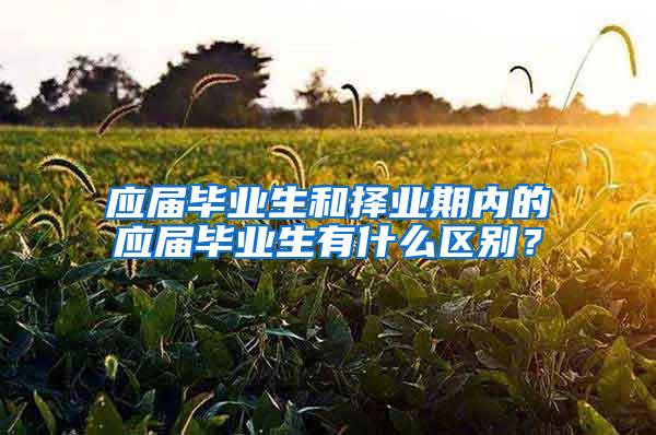 应届毕业生和择业期内的应届毕业生有什么区别？