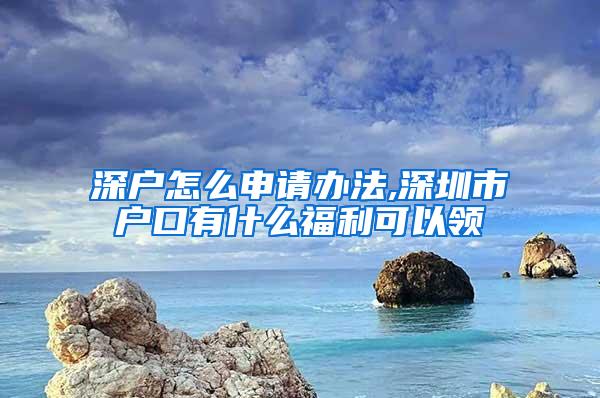 深户怎么申请办法,深圳市户口有什么福利可以领