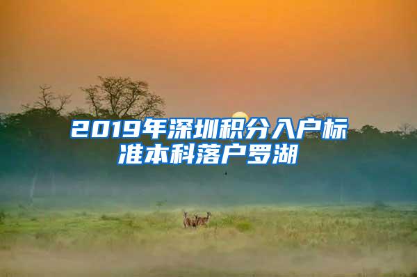 2019年深圳积分入户标准本科落户罗湖