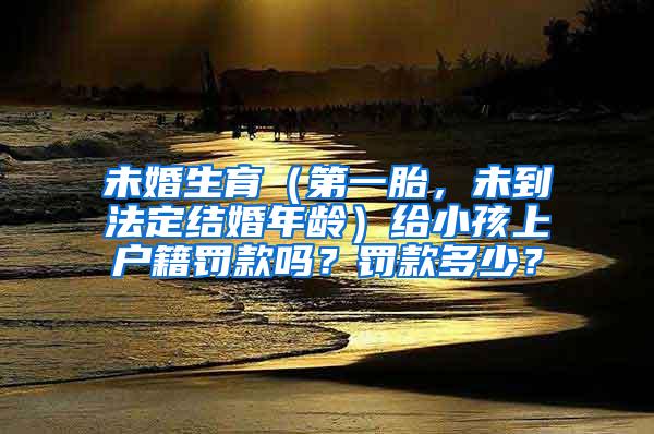 未婚生育（第一胎，未到法定结婚年龄）给小孩上户籍罚款吗？罚款多少？