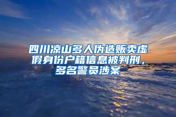 四川凉山多人伪造贩卖虚假身份户籍信息被判刑，多名警员涉案