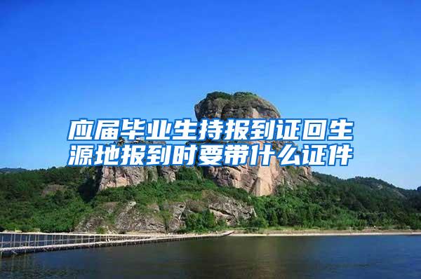 应届毕业生持报到证回生源地报到时要带什么证件