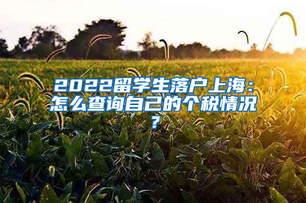 2022留学生落户上海：怎么查询自己的个税情况？