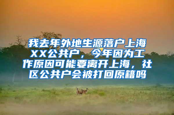 我去年外地生源落户上海XX公共户，今年因为工作原因可能要离开上海，社区公共户会被打回原籍吗