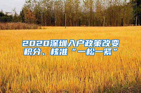 2020深圳入户政策改变积分、核准“一松一紧”