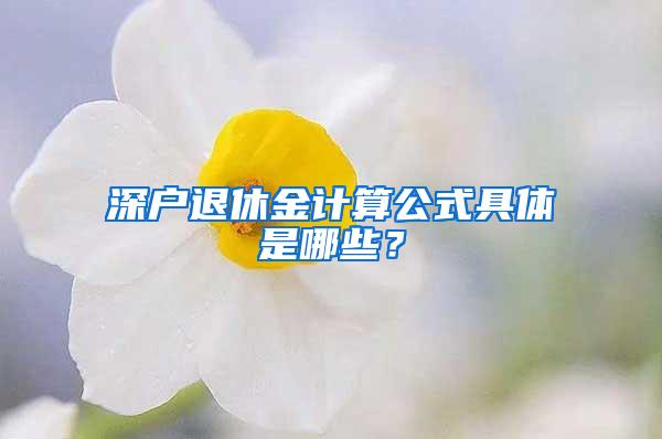 深户退休金计算公式具体是哪些？