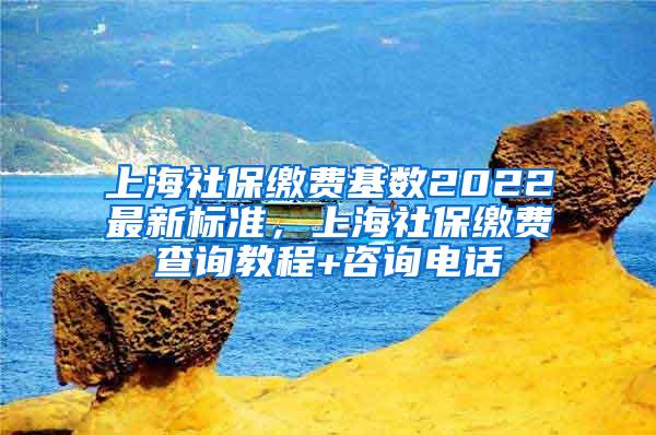 上海社保缴费基数2022最新标准，上海社保缴费查询教程+咨询电话