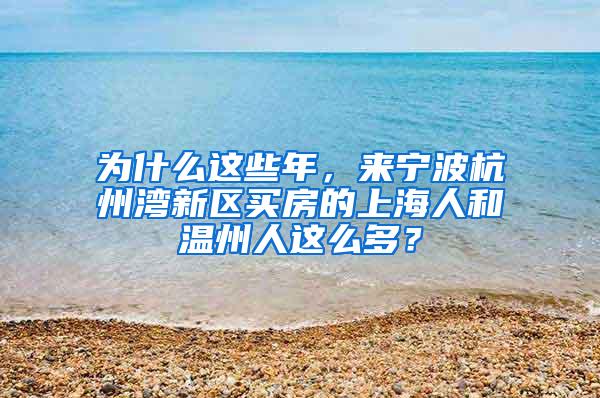为什么这些年，来宁波杭州湾新区买房的上海人和温州人这么多？
