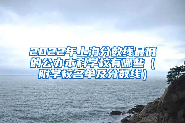 2022年上海分数线最低的公办本科学校有哪些（附学校名单及分数线）