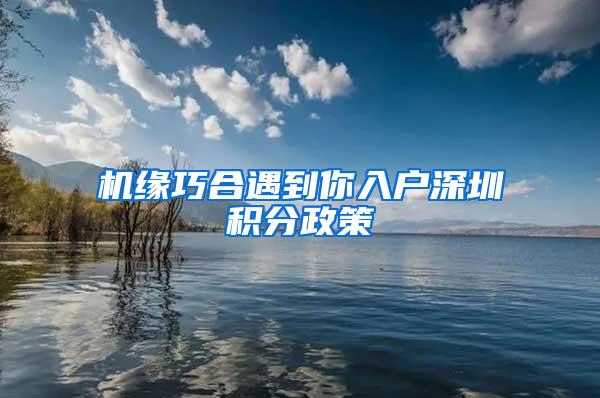 机缘巧合遇到你入户深圳积分政策