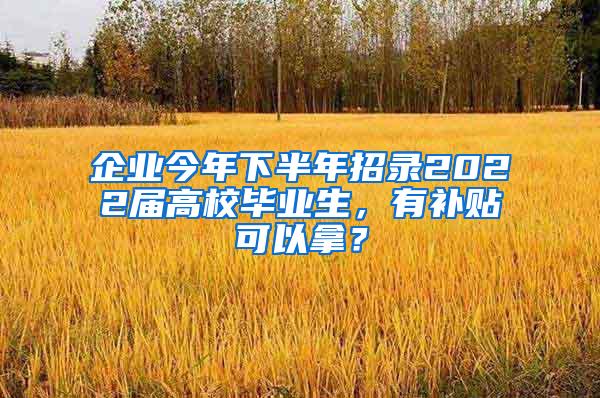 企业今年下半年招录2022届高校毕业生，有补贴可以拿？