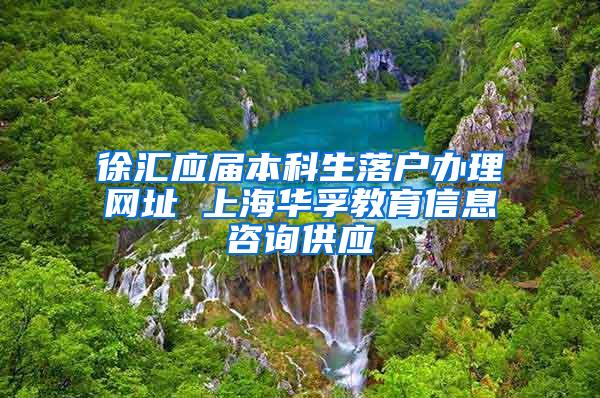 徐汇应届本科生落户办理网址 上海华孚教育信息咨询供应