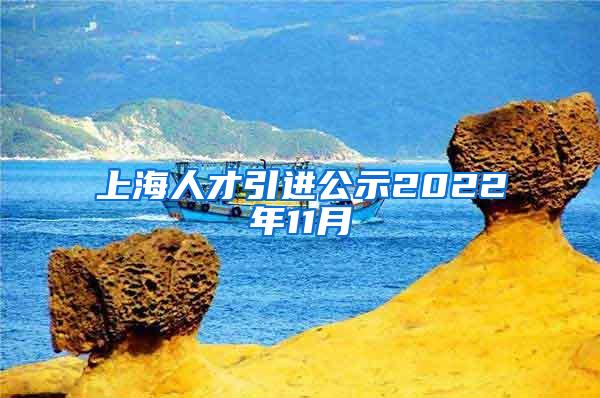 上海人才引进公示2022年11月