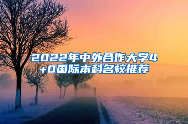 2022年中外合作大学4+0国际本科名校推荐