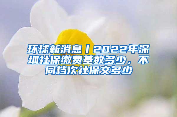 环球新消息丨2022年深圳社保缴费基数多少，不同档次社保交多少