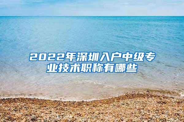 2022年深圳入户中级专业技术职称有哪些