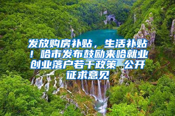 发放购房补贴，生活补贴！哈市发布鼓励来哈就业创业落户若干政策 公开征求意见