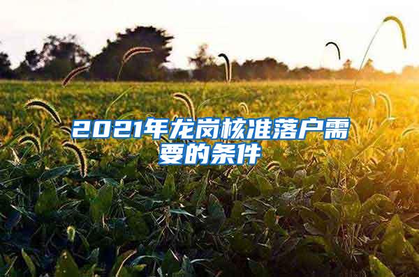 2021年龙岗核准落户需要的条件