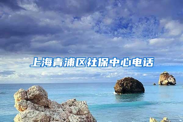 上海青浦区社保中心电话