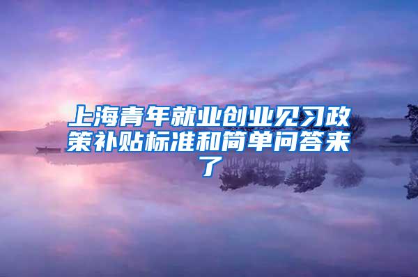 上海青年就业创业见习政策补贴标准和简单问答来了