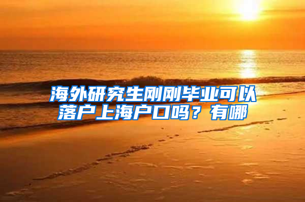 海外研究生刚刚毕业可以落户上海户口吗？有哪