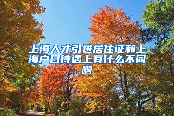 上海人才引进居住证和上海户口待遇上有什么不同啊