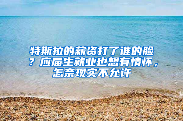 特斯拉的薪资打了谁的脸？应届生就业也想有情怀，怎奈现实不允许