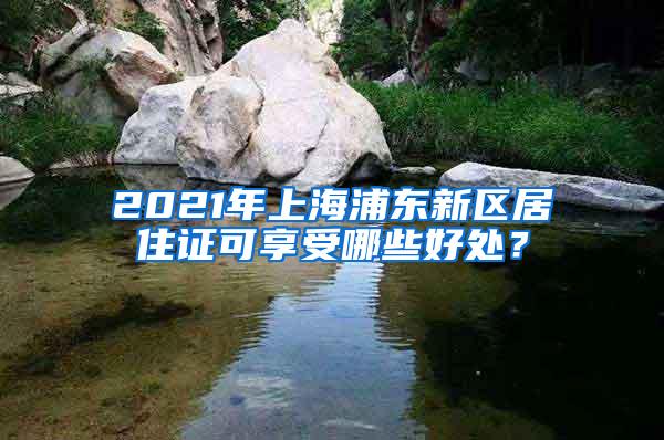 2021年上海浦东新区居住证可享受哪些好处？