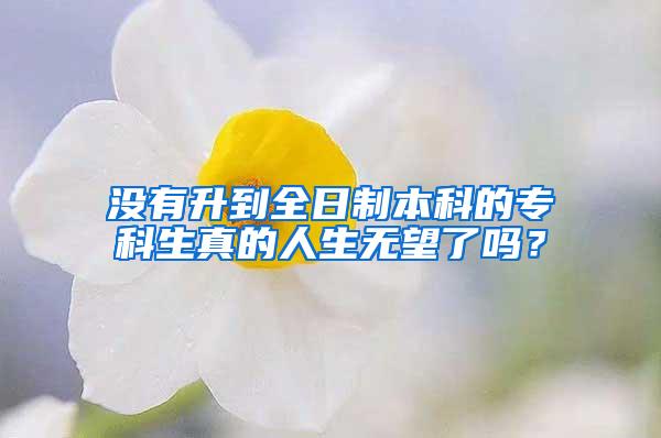 没有升到全日制本科的专科生真的人生无望了吗？