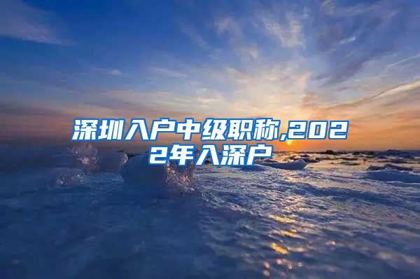 深圳入户中级职称,2022年入深户