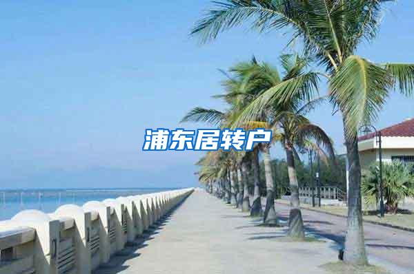 浦东居转户