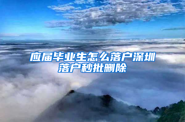 应届毕业生怎么落户深圳落户秒批删除