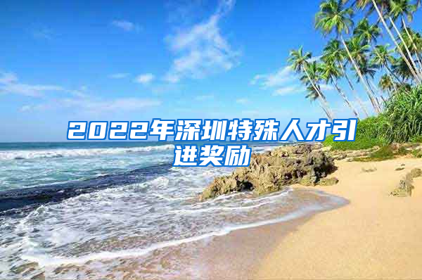 2022年深圳特殊人才引进奖励